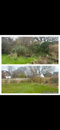 Lopperwood Tree and Landscapes photo 8