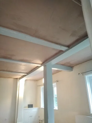 Lewis Plastering Services photo 2