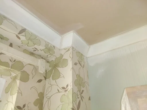 Lewis Plastering Services photo 7