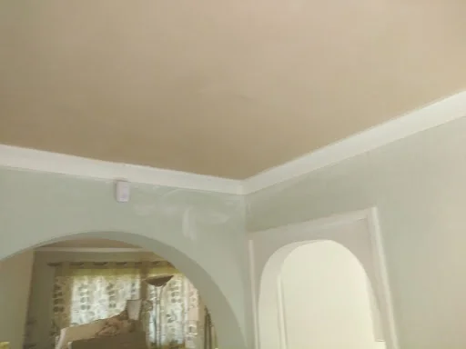 Lewis Plastering Services photo 8