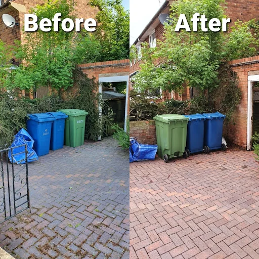 Ward Tree Services Ltd photo 1