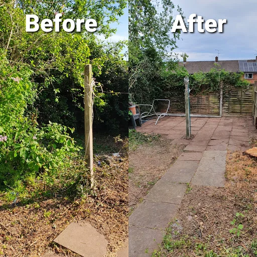 Ward Tree Services Ltd photo 2