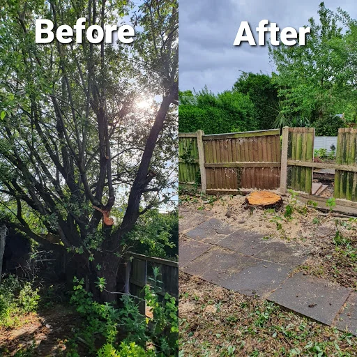 Ward Tree Services Ltd photo 5