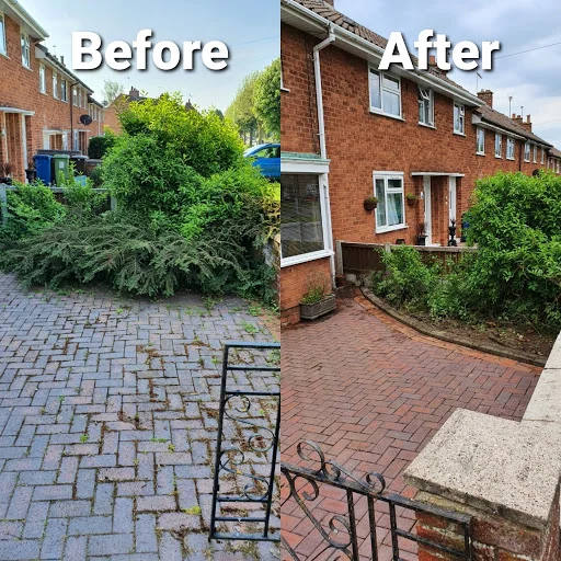 Ward Tree Services Ltd photo 6