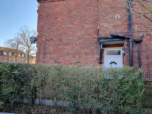 Ward Tree Services Ltd photo 7