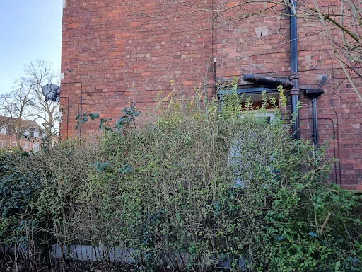 Ward Tree Services Ltd photo 8