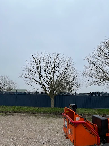 Driftwood Tree Services photo 2