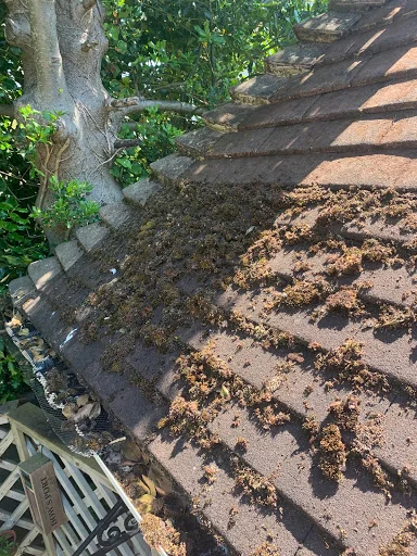 Cutting-Edge Roofing photo 5