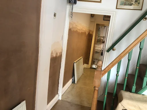 Kent Damp LTD photo 4