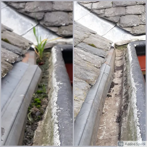 New Heights Exterior Cleaning photo 3