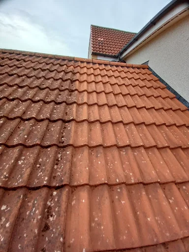 New Heights Exterior Cleaning photo 5