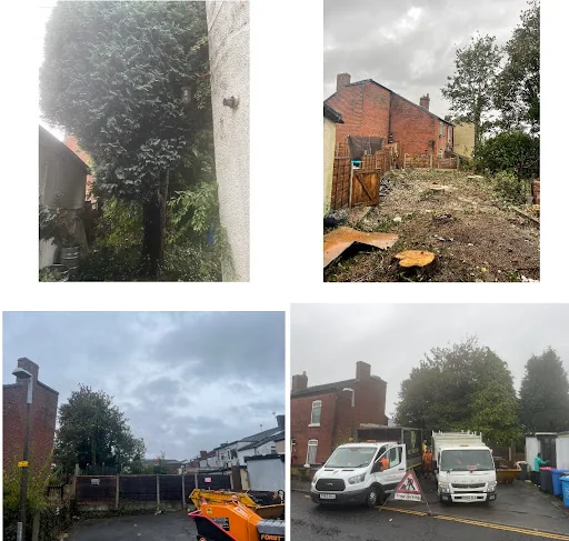 Heywood Tree Services photo 1