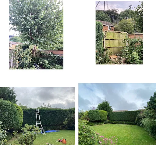 Heywood Tree Services photo 3