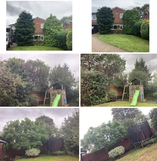 Heywood Tree Services photo 5