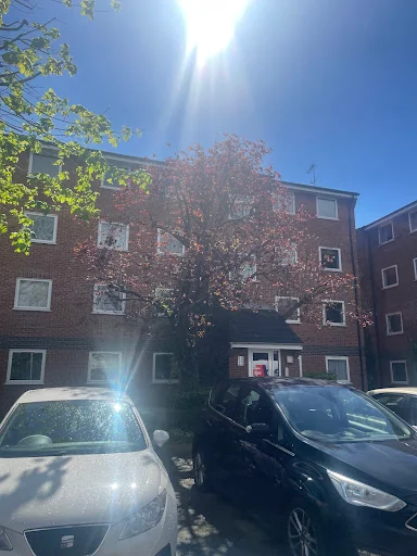 Trees A Crowd London photo 6