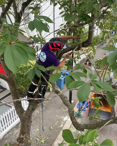 Trees A Crowd London photo 8