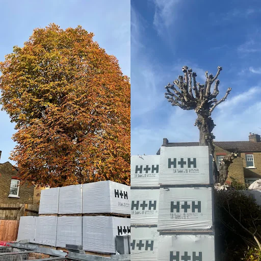 D.R. Tree Services photo 1