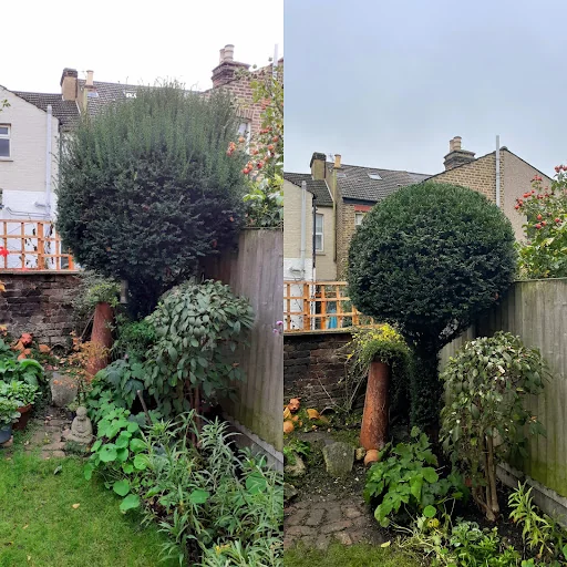 D.R. Tree Services photo 4