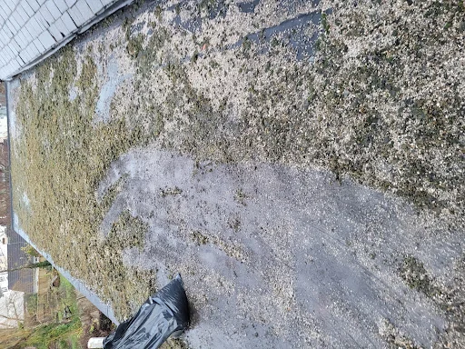 Maurice Isaacs Roofing photo 2