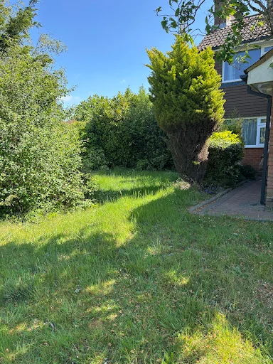 Lady Painter &amp; Decorator photo 1