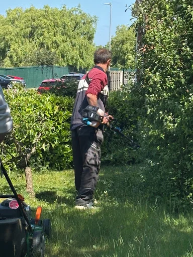 Lady Painter &amp; Decorator photo 2