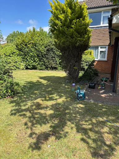 Lady Painter &amp; Decorator photo 4