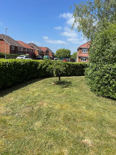 Lady Painter &amp; Decorator photo 6