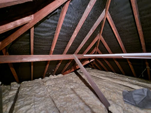 Element Surveyors photo 1