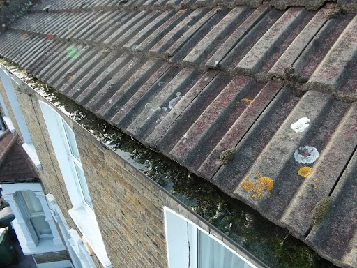 Element Surveyors photo 5