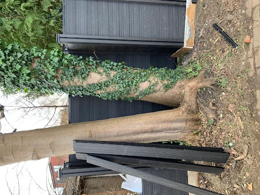 Dc Master Fencing Ltd photo 1