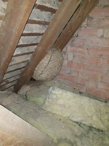 Joe Day Pest Control photo 2