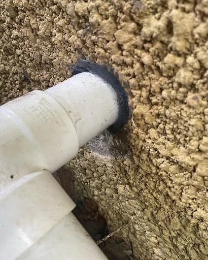 Joe Day Pest Control photo 3