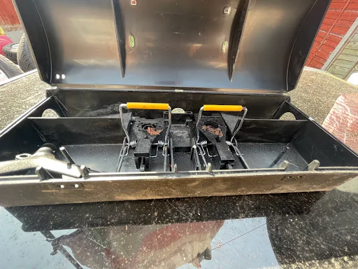 Joe Day Pest Control photo 5