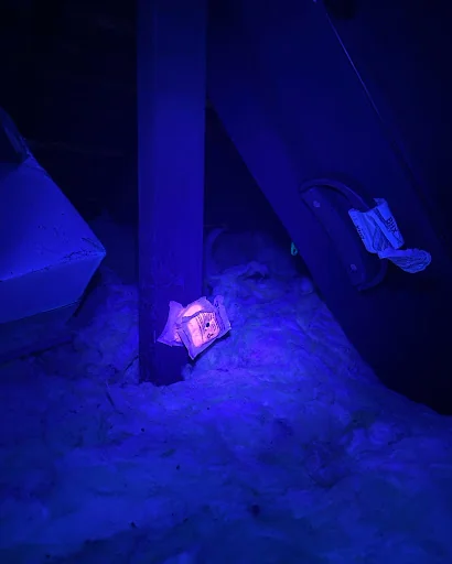 Joe Day Pest Control photo 7