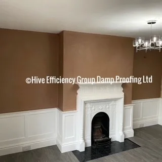 The Hive Efficiency Group Damp Proofing Limited photo 1