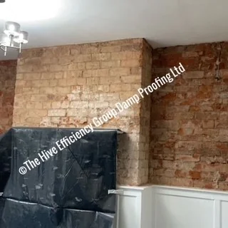The Hive Efficiency Group Damp Proofing Limited photo 2