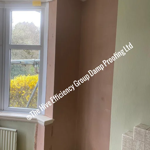 The Hive Efficiency Group Damp Proofing Limited photo 4