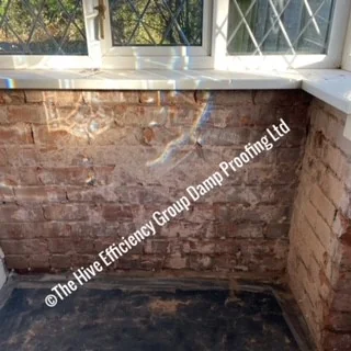 The Hive Efficiency Group Damp Proofing Limited photo 5
