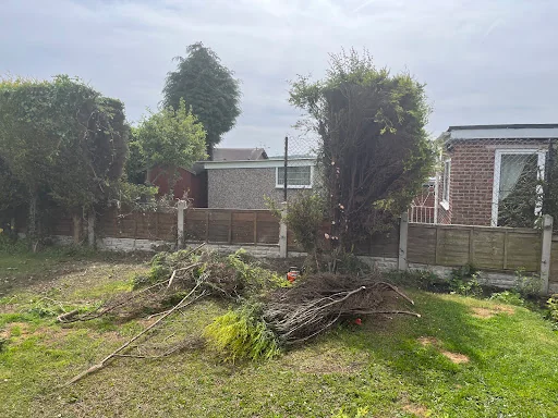 Red Rose Tree Services photo 3