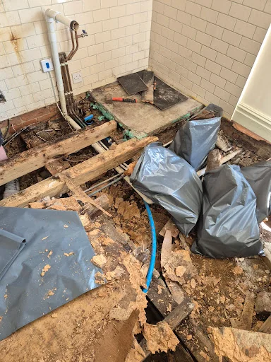 Ragnar Damp Ltd photo 1