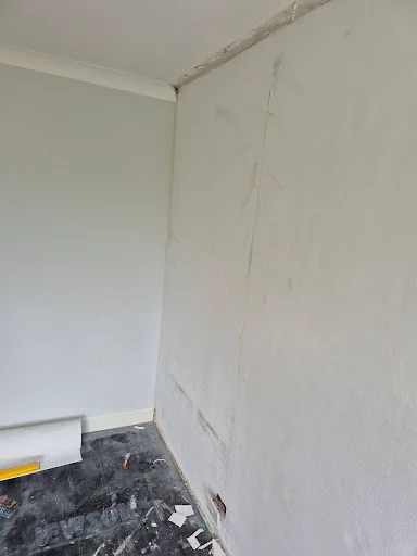 Ragnar Damp Ltd photo 7