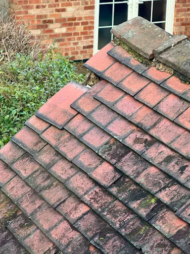 Specialist Property Surveys photo 1