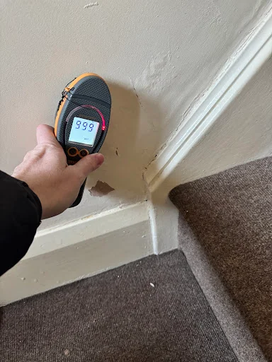 Specialist Property Surveys photo 2