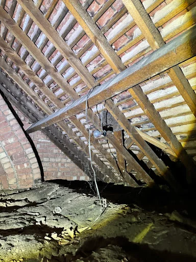 Specialist Property Surveys photo 3