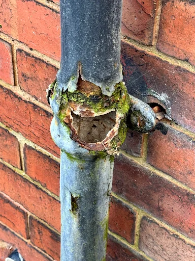 Specialist Property Surveys photo 7