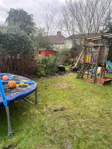 A&amp;E Tree Surgeons photo 6