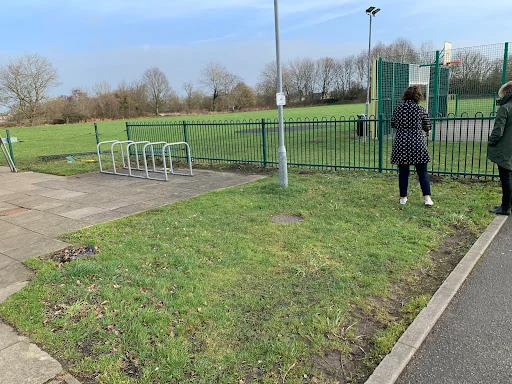 Flintons Landscape Gardening photo 1