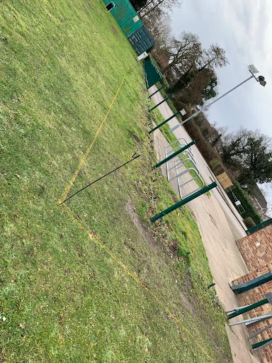 Flintons Landscape Gardening photo 3