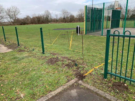 Flintons Landscape Gardening photo 4