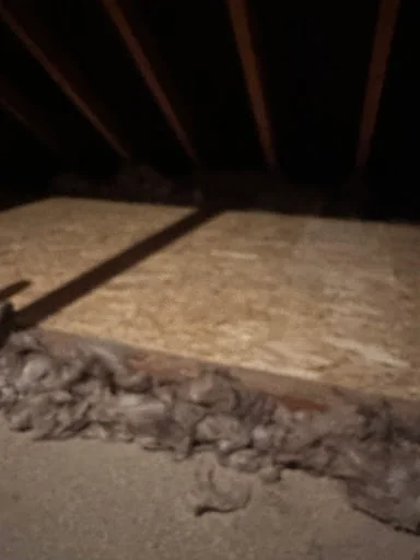 Essex Loft Insulation photo 3